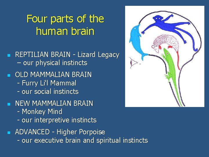 Four parts of the human brain n n REPTILIAN BRAIN - Lizard Legacy –