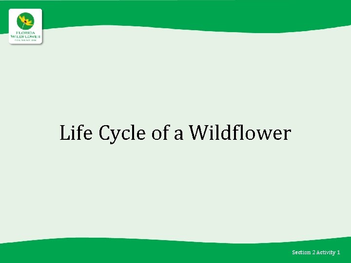 Life Cycle of a Wildflower Section 2 Activity 1 