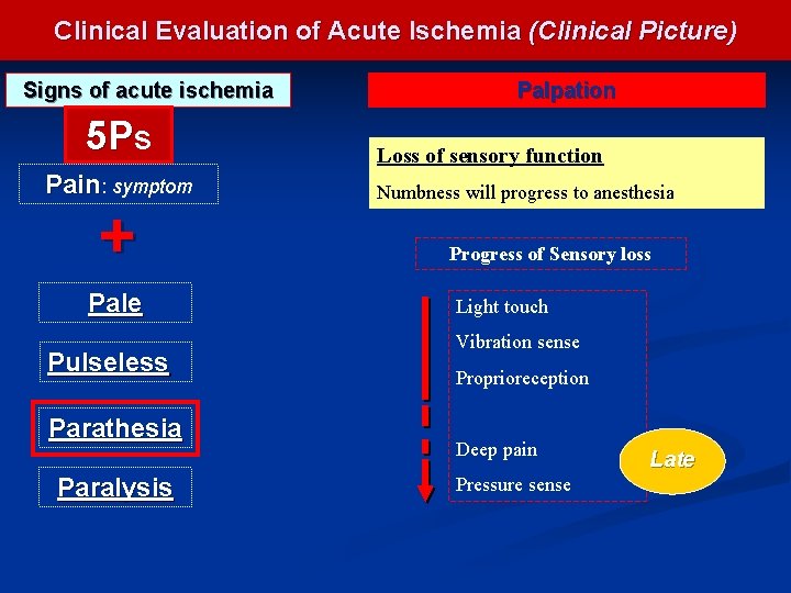 Clinical Evaluation of Acute Ischemia (Clinical Picture) Signs of acute ischemia 5 Ps Pain: