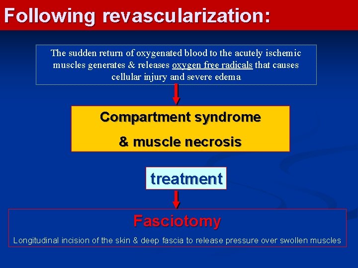 Following revascularization: The sudden return of oxygenated blood to the acutely ischemic muscles generates