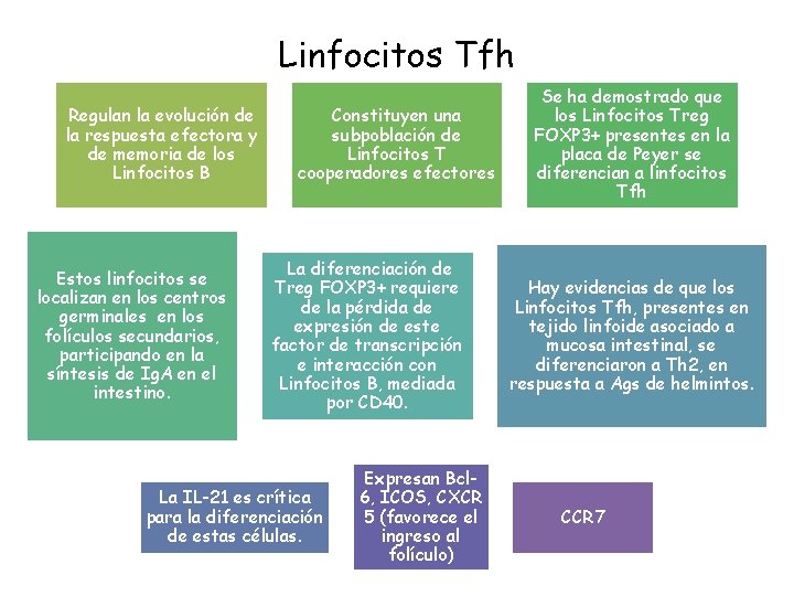 Linfocitos Tfh Regulan la evolución de la respuesta efectora y de memoria de los