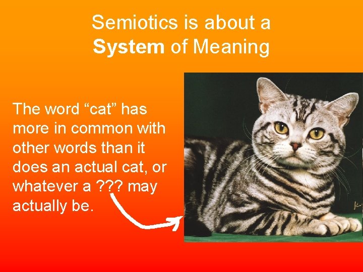 Semiotics is about a System of Meaning The word “cat” has more in common