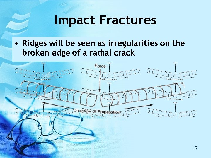 Impact Fractures • Ridges will be seen as irregularities on the broken edge of Impact Fractures • Ridges will be seen as irregularities on the broken edge of