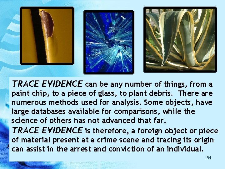 TRACE EVIDENCE can be any number of things, from a paint chip, to a TRACE EVIDENCE can be any number of things, from a paint chip, to a