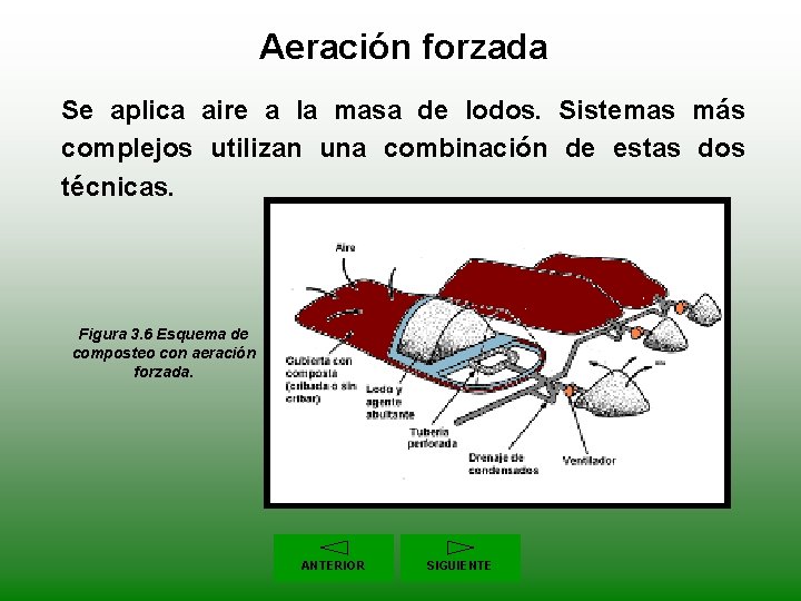 Aeración forzada Se aplica aire a la masa de lodos. Sistemas más complejos utilizan