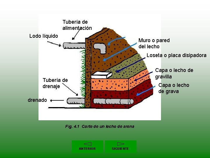 Tubería de alimentación Lodo líquido Muro o pared del lecho Loseta o placa disipadora