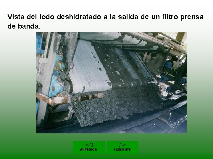 Vista del lodo deshidratado a la salida de un filtro prensa de banda. ANTERIOR
