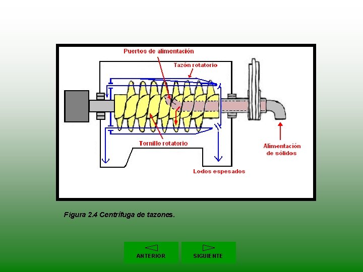 Figura 2. 4 Centrífuga de tazones. ANTERIOR SIGUIENTE 