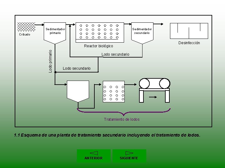 Cribado Sedimentador primario Sedimentador secundario Desinfección Lodo primario Reactor biológico Lodo secundario Tratamiento de
