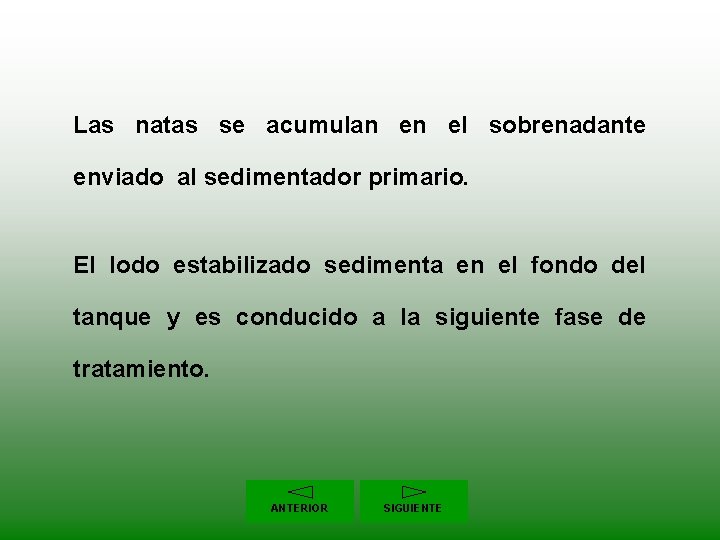 Las natas se acumulan en el sobrenadante enviado al sedimentador primario. El lodo estabilizado