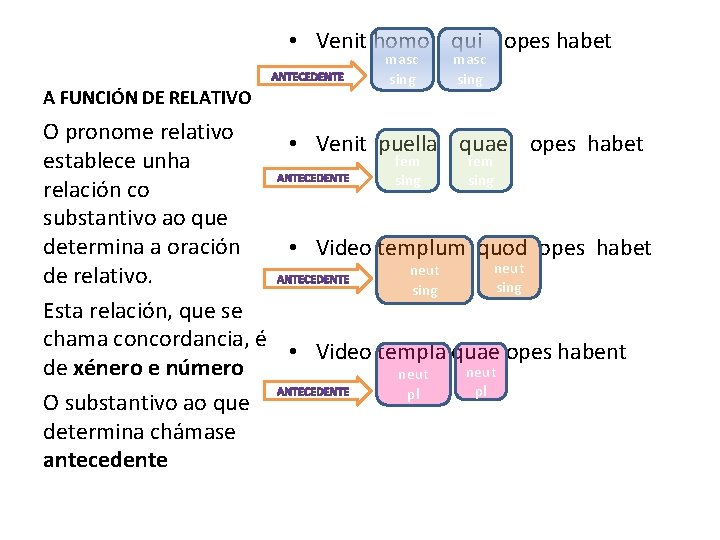  • Venit homo qui opes habet A FUNCIÓN DE RELATIVO masc sing O