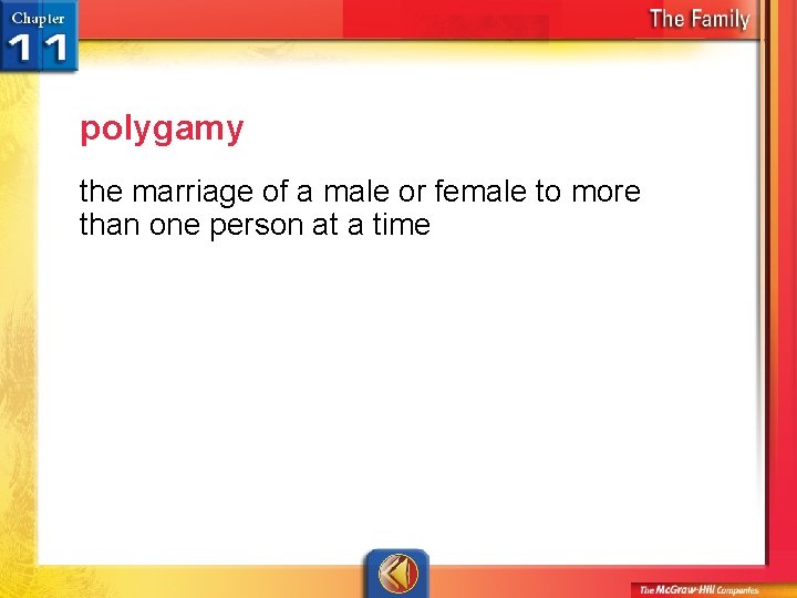 polygamy the marriage of a male or female to more than one person at