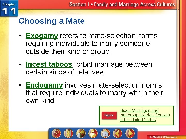 Choosing a Mate • Exogamy refers to mate-selection norms requiring individuals to marry someone