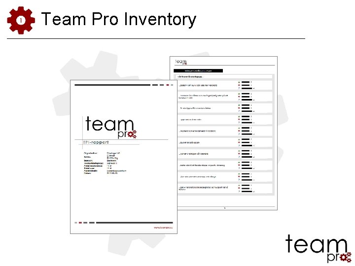 Team Pro Inventory 