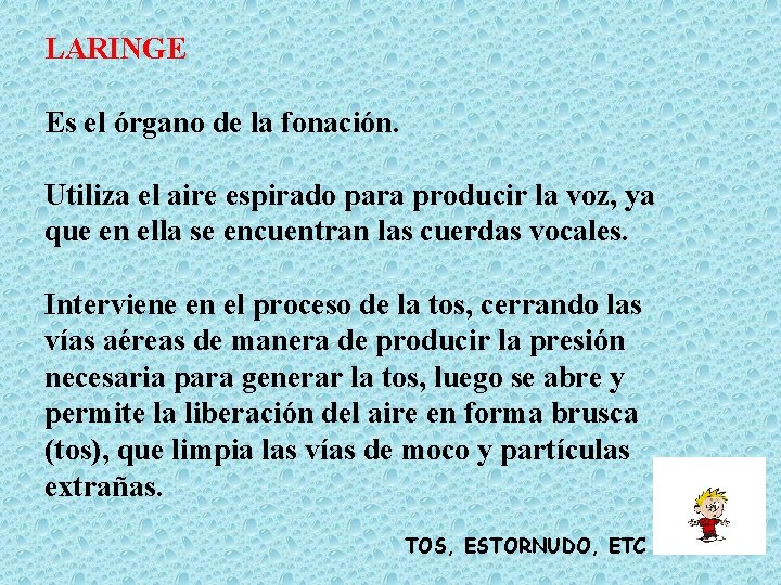 LARINGE Es el órgano de la fonación. Utiliza el aire espirado para producir la