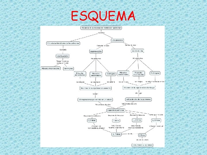 ESQUEMA 