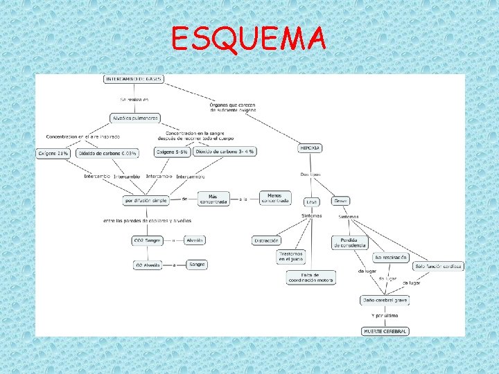 ESQUEMA 