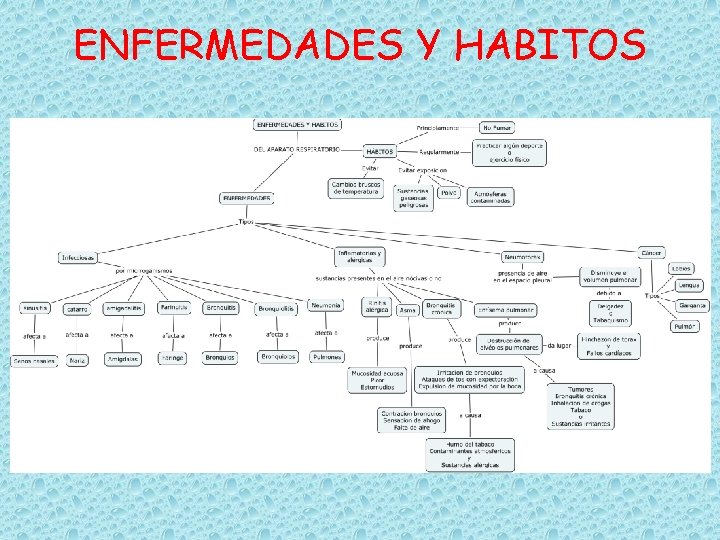 ENFERMEDADES Y HABITOS 