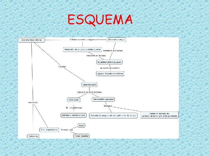 ESQUEMA 