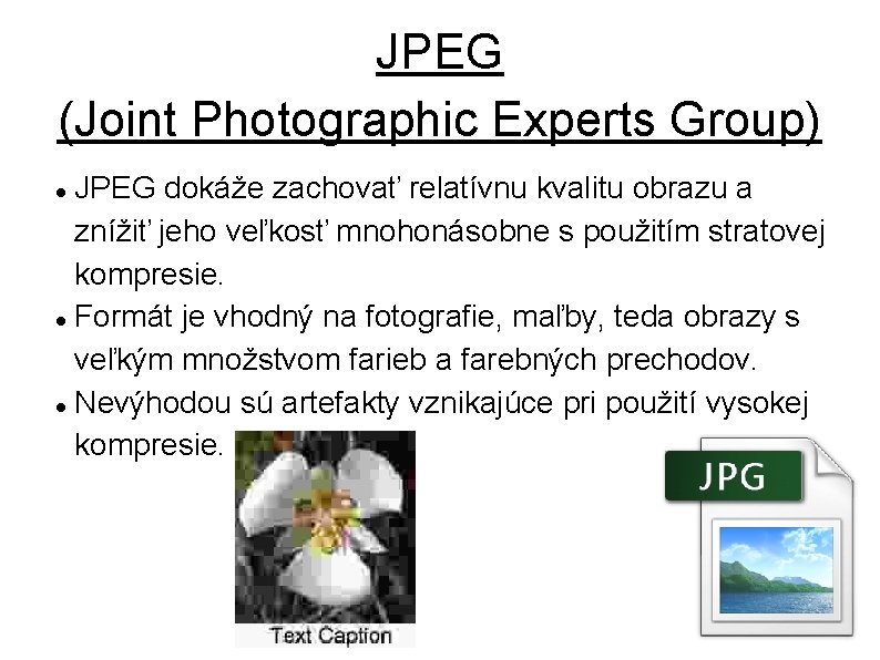 JPEG (Joint Photographic Experts Group) JPEG dokáže zachovať relatívnu kvalitu obrazu a znížiť jeho
