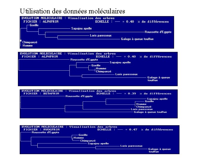  Utilisation des données moléculaires 