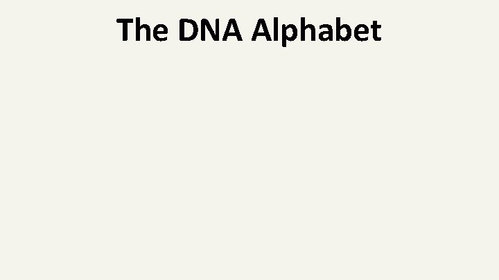 The DNA Alphabet 