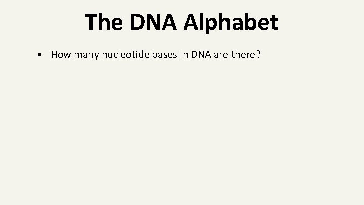 The DNA Alphabet • How many nucleotide bases in DNA are there? 