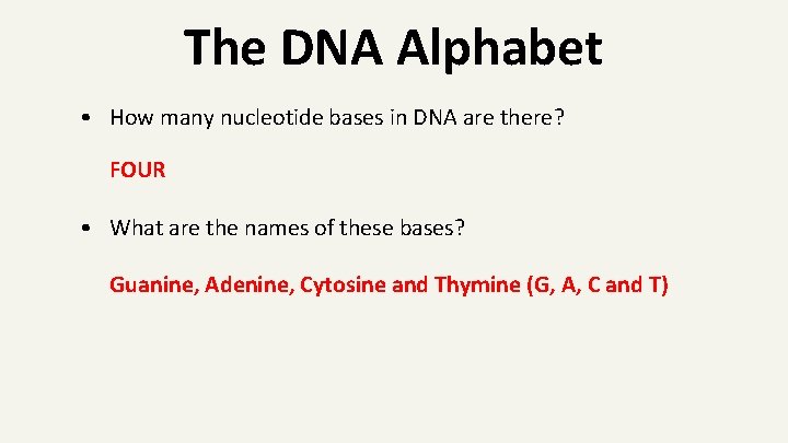 The DNA Alphabet • How many nucleotide bases in DNA are there? FOUR •