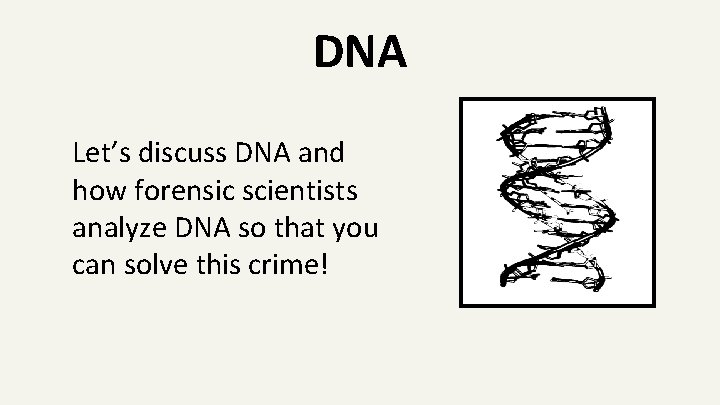 DNA Let’s discuss DNA and how forensic scientists analyze DNA so that you can