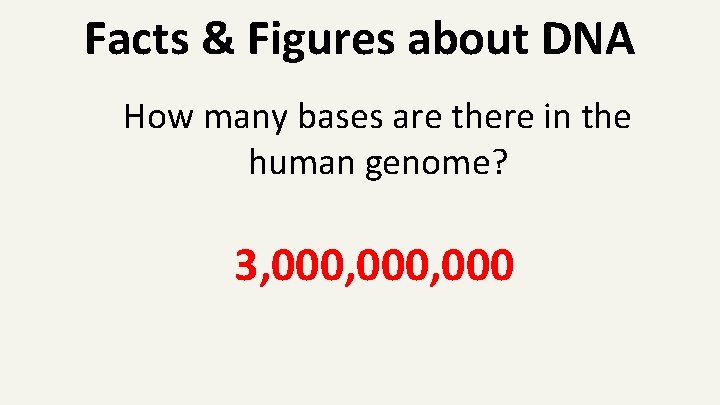 Facts & Figures about DNA How many bases are there in the human genome?