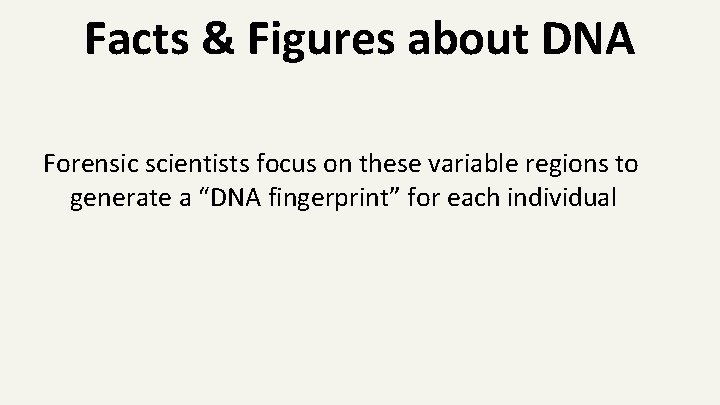 Facts & Figures about DNA Forensic scientists focus on these variable regions to generate