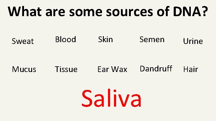What are some sources of DNA? Sweat Blood Skin Semen Urine Mucus Tissue Ear