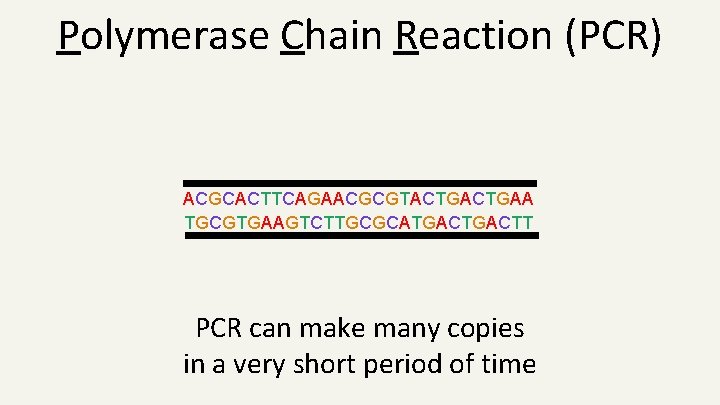 Polymerase Chain Reaction (PCR) ACGCACTTCAGAACGCGTACTGAA TGCGTGAAGTCTTGCGCATGACTT PCR can make many copies in a very