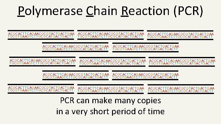 Polymerase Chain Reaction (PCR) ACGCACTTCAGAACGCGTACTGACTGAA ACGCACTTCAGAACGCGTACTGAA TGCGTGAAGTCTTGCGCATGACTGACTT ACGCACTTCAGAACGCGTACTGACTGAA TGCGTGAAGTCTTGCGCATGACTGACTT ACGCACTTCAGAACGCGTACTGACTGAA TGCGTGAAGTCTTGCGCATGACTGACTT ACGCACTTCAGAACGCGTACTGACTGAA ACGCACTTCAGAACGCGTACTGAA TGCGTGAAGTCTTGCGCATGACTGACTT