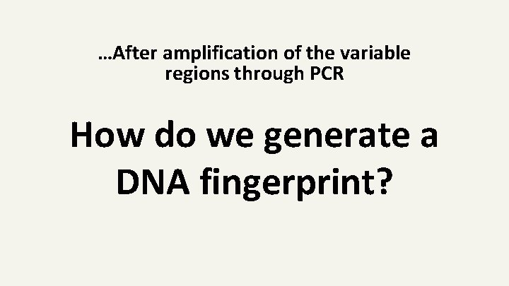 …After amplification of the variable regions through PCR How do we generate a DNA