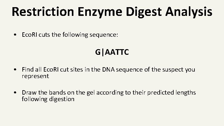 Restriction Enzyme Digest Analysis • Eco. RI cuts the following sequence: G|AATTC • Find