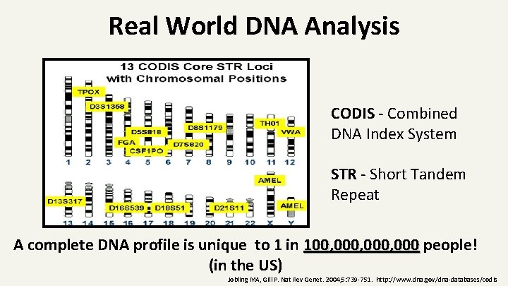 Real World DNA Analysis CODIS - Combined DNA Index System STR - Short Tandem