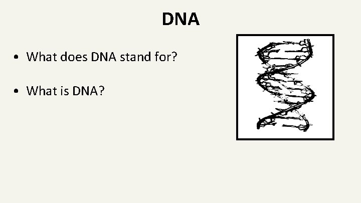 DNA • What does DNA stand for? • What is DNA? 