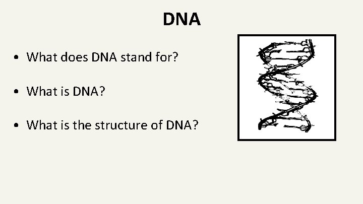 DNA • What does DNA stand for? • What is DNA? • What is