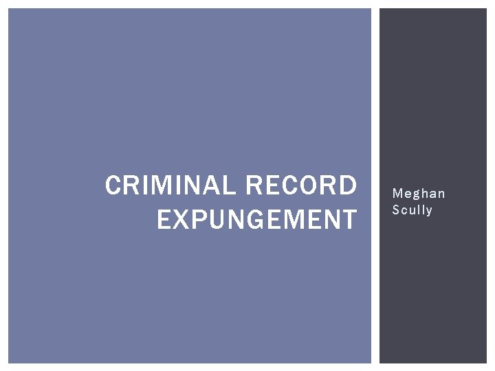 CRIMINAL RECORD EXPUNGEMENT Meghan Scully 