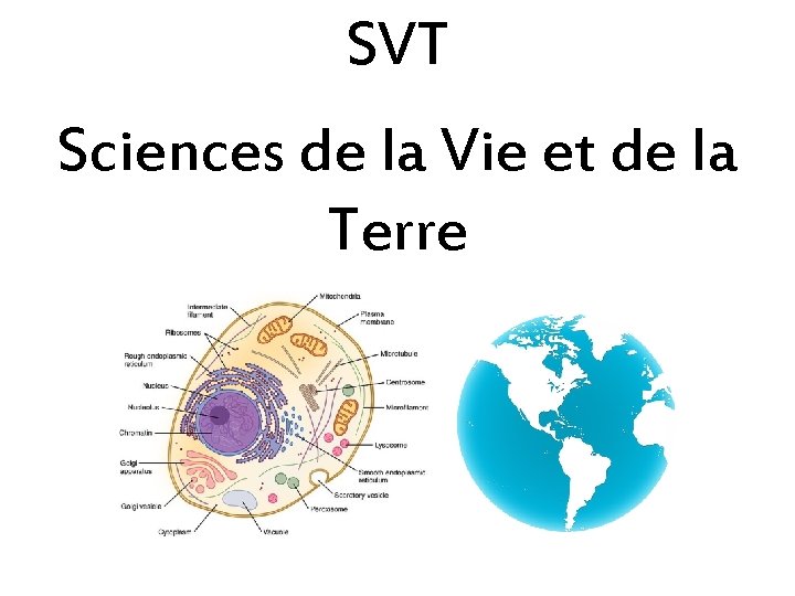 SVT Sciences de la Vie et de la Terre SVT Sciences de la Vie et de la Terre