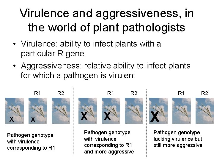 Virulence and aggressiveness, in the world of plant pathologists • Virulence: ability to infect
