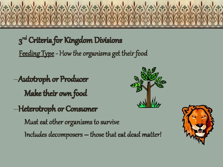 3 rd Criteria for Kingdom Divisions Feeding Type - How the organisms get their
