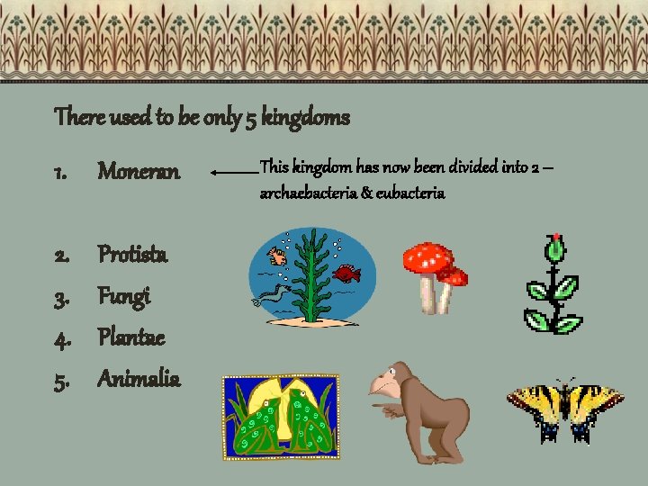 There used to be only 5 kingdoms 1. Moneran 2. 3. 4. 5. Protista