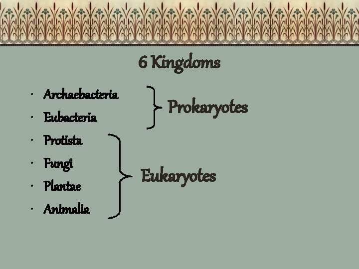 6 Kingdoms • • • Archaebacteria Eubacteria Protista Fungi Plantae Animalia Prokaryotes Eukaryotes 