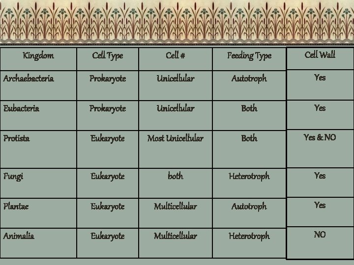 Kingdom Cell Type Cell # Feeding Type Cell Wall Archaebacteria Prokaryote Unicellular Autotroph Yes