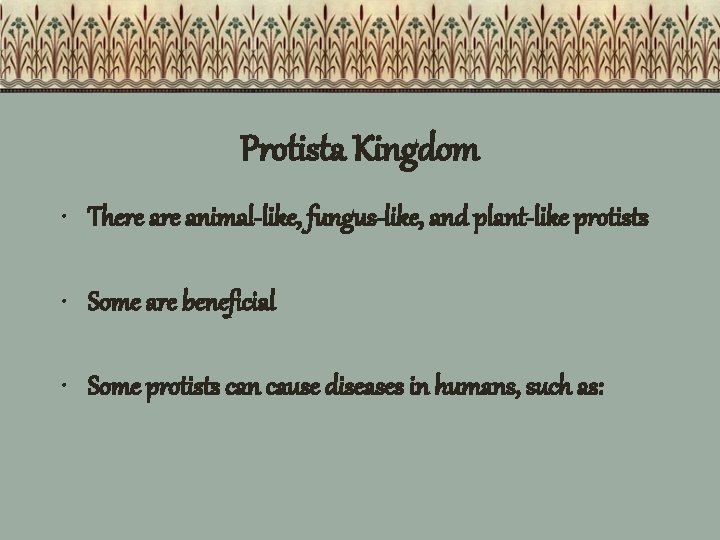 Protista Kingdom • There animal-like, fungus-like, and plant-like protists • Some are beneficial •