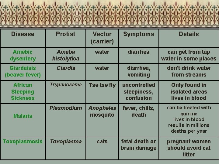 Disease Protist Vector (carrier) Symptoms Details Amebic dysentery Ameba histolytica water diarrhea can get