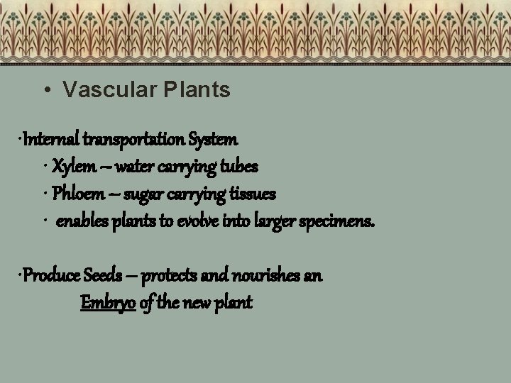  • Vascular Plants • Internal transportation System • Xylem – water carrying tubes