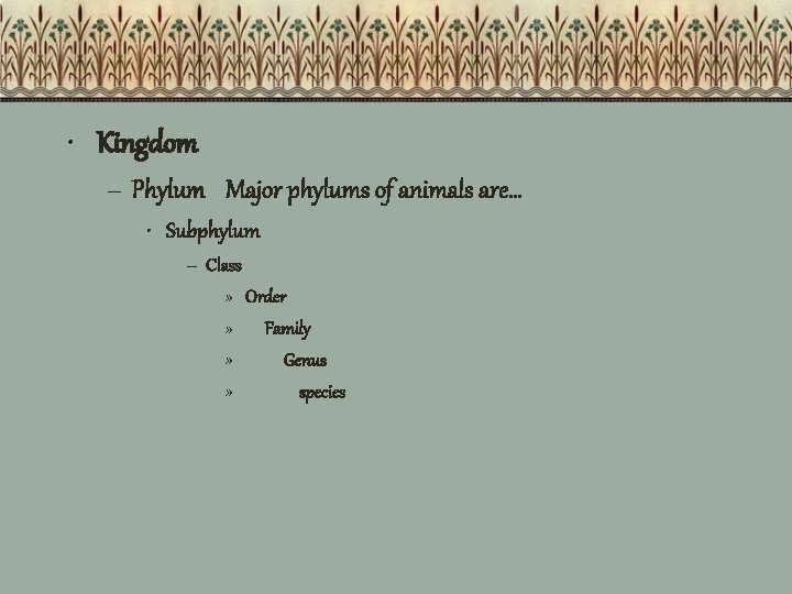  • Kingdom – Phylum Major phylums of animals are… • Subphylum – Class